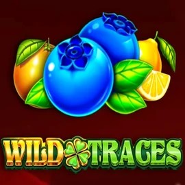 Wild Traces – slot by Amusnet Interactive, featured at winrolla.eu